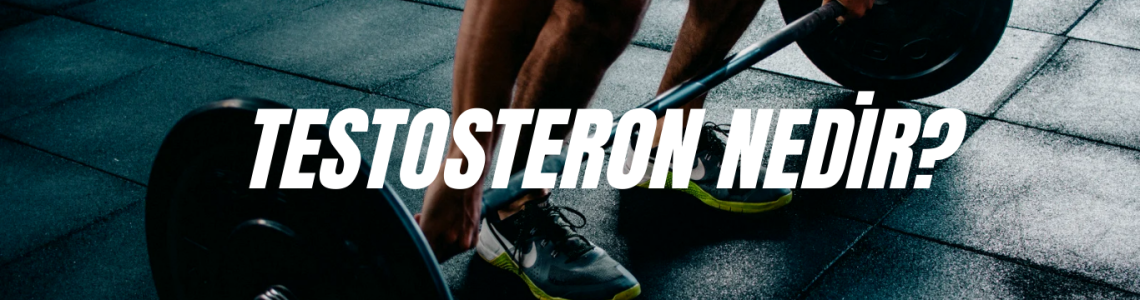 Testosteron Nedir?