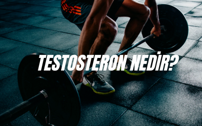 Testosteron Nedir?