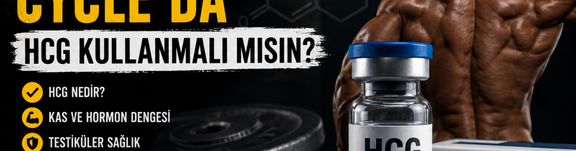 Testosterone Cycle'da HCG Kullanmalı mısın? Testis Atrofisi, PCT ve Bilimsel Gerçekler