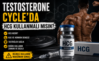 Testosterone Cycle'da HCG Kullanmalı mısın? Testis Atrofisi, PCT ve Bilimsel Gerçekler