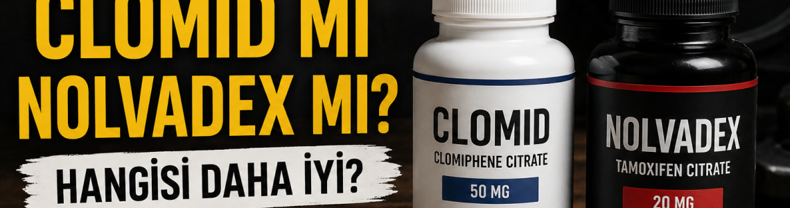 Testosterone Cycle Sonrası PCT Rehberi: Clomid mi, Nolvadex mi?