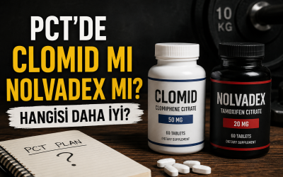 Testosterone Cycle Sonrası PCT Rehberi: Clomid mi, Nolvadex mi?