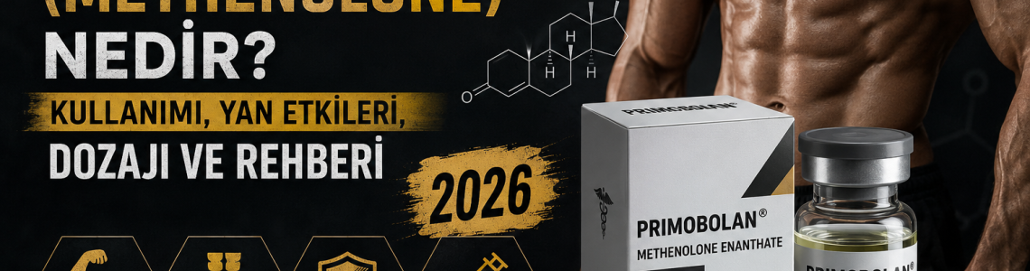 Primobolan (Methenolone) Guide: Benefits, Side Effects, Dosage, and Cycle 2026