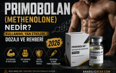 Primobolan (Methenolone) Nedir? Kullanımı, Yan Etkileri, Dozajı ve Rehberi 2026